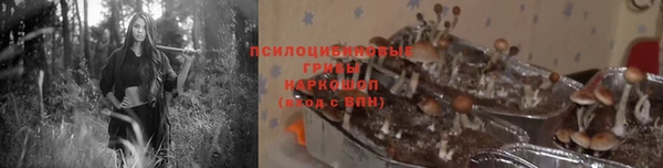 а пвп мука Абаза