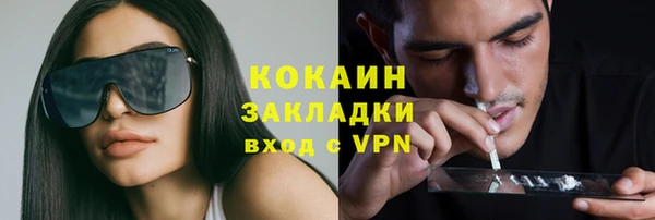 прущий лед Алзамай