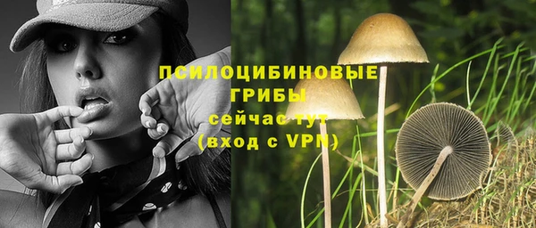дживик Покров