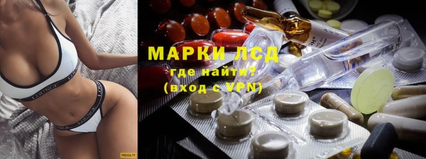 прущий лед Алзамай