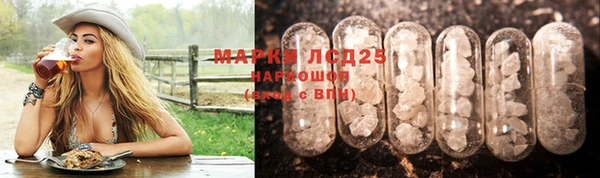 прущий лед Алзамай