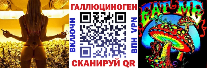 Псилоцибиновые грибы Magic Shrooms  МЕГА зеркало  Котовск 